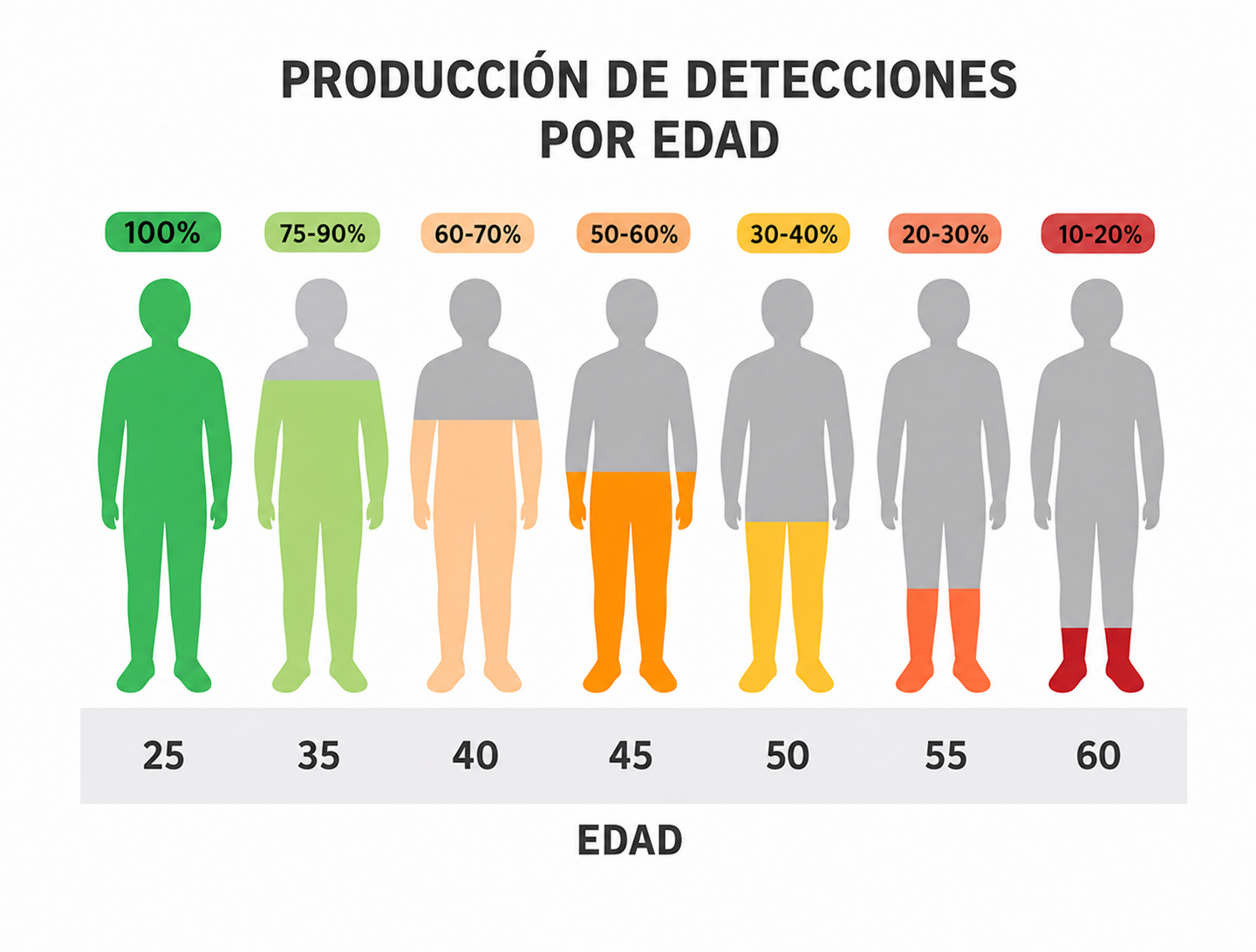 Testosterona y Entrenamiento